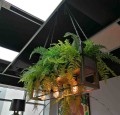SEMIRA 100 wyjątkowa lampa wisząca