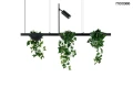 PLANT LINE czarna lampa wisząca 