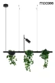 PLANT LINE czarna lampa wisząca 