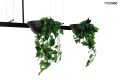 PLANT LINE czarna lampa wisząca 