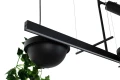 PLANT LINE czarna lampa wisząca 