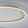 RITUS lampa sufitowa LED