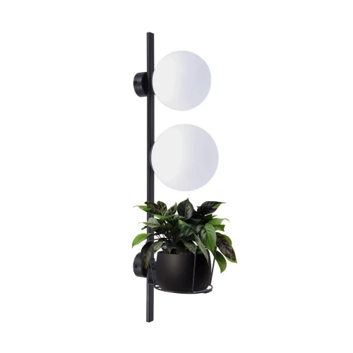 PLANT kinkiet (5002)