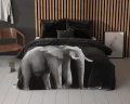 200x200/220 ELEPHANT czarny  kpl pościeli mikrofibra