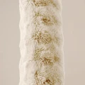 140x20  Bodypillow POMPOM beż