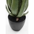 ALOE roślina dekoracyjna 69 cm KARE