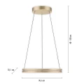 PURE E-LOOP lampa wisząca matowy mosiądz