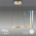 PURE E-LOOP lampa wisząca matowy mosiądz