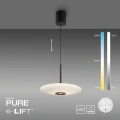 PURE E-VITRUM lampa wisząca ciemno-brązowy  