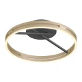 PURE LOOP lampa sufitowa czarna/matowy mosiądz 6552-68 