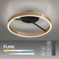 PURE LOOP lampa sufitowa czarna/matowy mosiądz 6552-68 