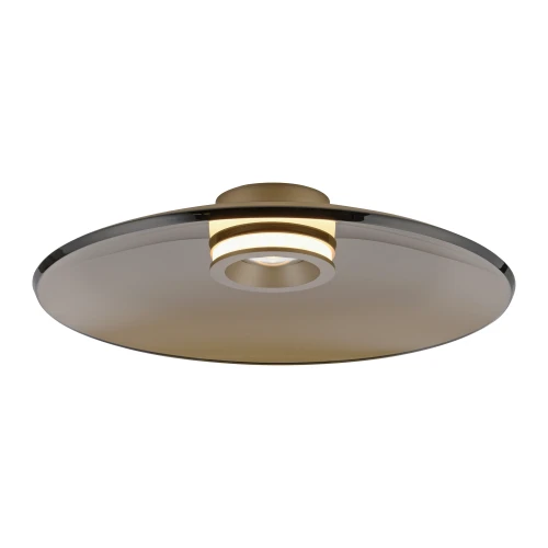  PURE MOON lampa sufitowa brązowa 6095-97