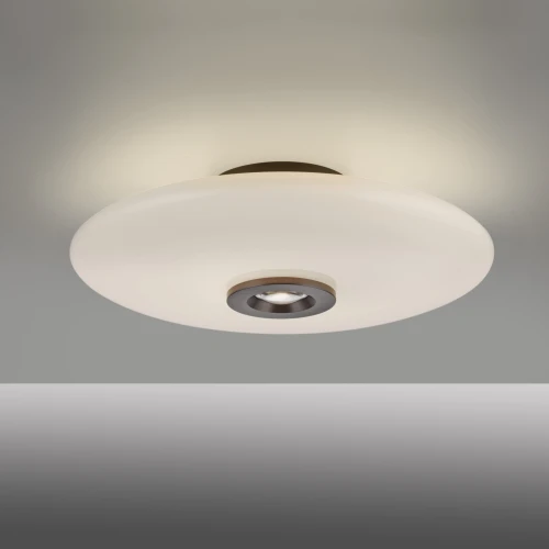 PURE VITRUM lampa sufitowa ciemnometalowy - brązowy 6083-34 