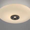 PURE VITRUM lampa sufitowa ciemnometalowy - brązowy 6083-34 