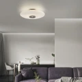 PURE VITRUM lampa sufitowa ciemnometalowy - brązowy 6083-34 