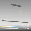 ADRIANA COMFORT LIFT lampa wisząca antracyt