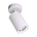 TORE lampa sufitowa biała TLS006-WH