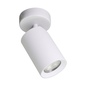 TORE lampa sufitowa biała TLS006-WH