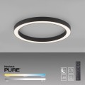 PURE-LINES lampa sufitowa 6309-13 