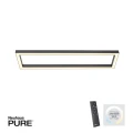 PURE-LINES lampa sufitowa antracyt 6023-13