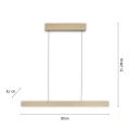 PURE E-MOTION lampa wisząca matowy mosiądz 2570-60