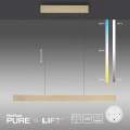 PURE E-MOTION lampa wisząca matowy mosiądz 2570-60