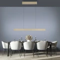 PURE E-MOTION lampa wisząca matowy mosiądz 2570-60
