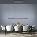 PURE E-MOTION lampa wisząca szara 2570-15 