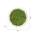 RITUS zielona lampa sufitowa fi 58, moss/mech 15392-66