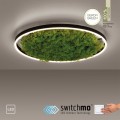 RITUS zielona lampa sufitowa fi 58, moss/mech 15392-66