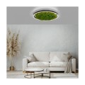 RITUS zielona lampa sufitowa fi 58, moss/mech 15392-66
