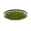 RITUS zielona lampa sufitowa fi 58, moss/mech 15392-66