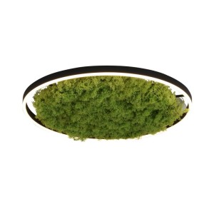 RITUS zielona lampa sufitowa fi 58, moss/mech 15392-66