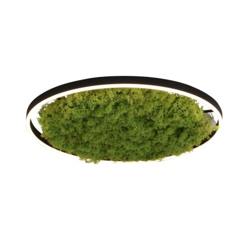 RITUS zielona lampa sufitowa fi 58, moss/mech 15392-66
