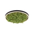 RITUS zielona lampa sufitowa fi39, moss/mech 15391-66