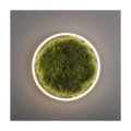 RITUS zielona lampa sufitowa fi39, moss/mech 15391-66