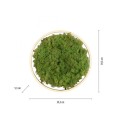 RITUS zielona lampa sufitowa fi39, moss/mech 15391-66