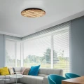 Q-AKUSTIK lampa sufitowa fi 60/kinkiet drewno 6421-79