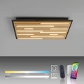 Q-AKUSTIK kinkiet/lampa sufitowa drewno 6423-79