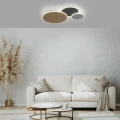 Q-PIATO lampa sufitowa/kinkiet multikolor 8007-70
