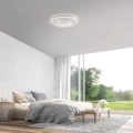 Q-KALINA lampa sufitowa biała 6503-16 