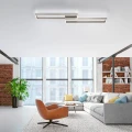 PAAN lampa sufitowa srebrna 6231-55