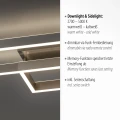 PAAN lampa sufitowa srebrna 6231-55