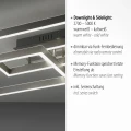 PAAN lampa sufitowa srebrna 6232-55