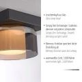 RIKA lampa sufitowa czarna 6162-18