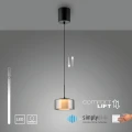 RIKA lampa wisząca czarna/smoky 2112-18