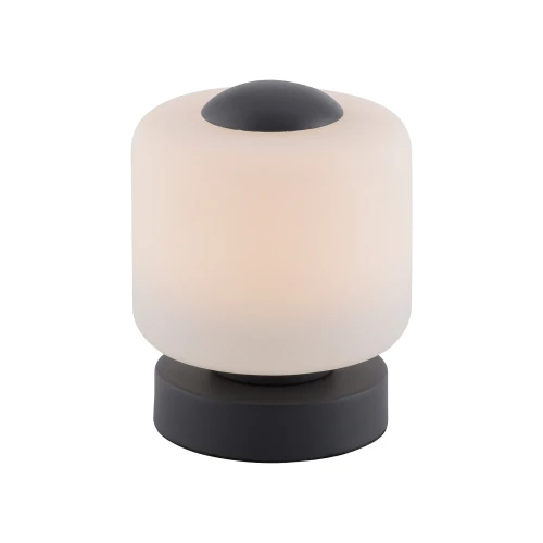 BOTA lampa stołowa antracyt 4037-13