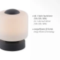 BOTA lampa stołowa antracyt 4037-13