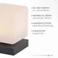 DADOA lampa stołowa antracyt 4036-13