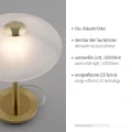 ENOVA lampa stołowa matowy mosiądz 4026-60